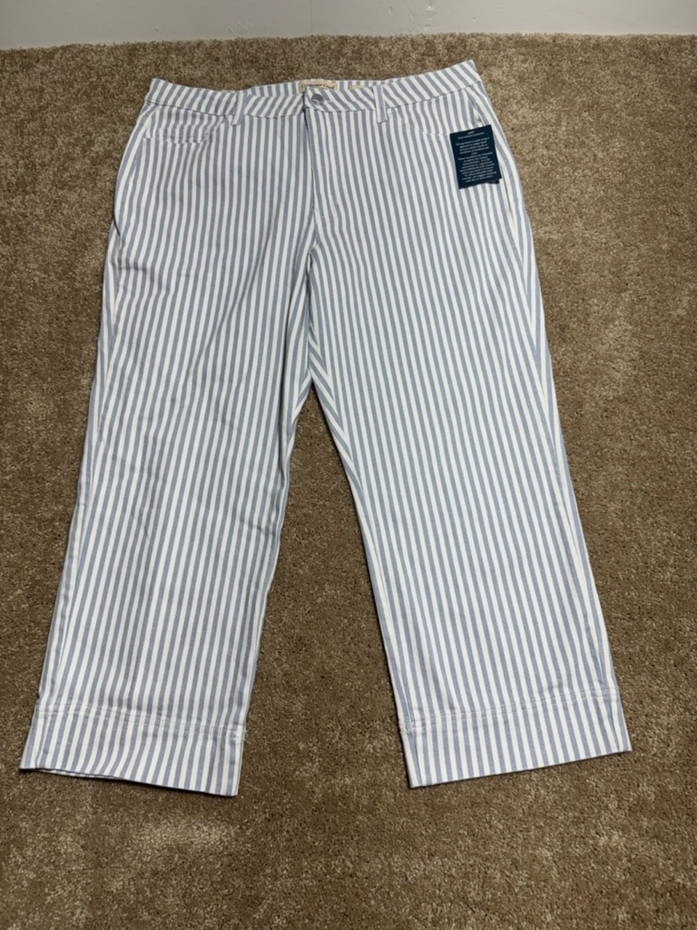 Coldwater Creek Blue and White Striped Cropped Chinos